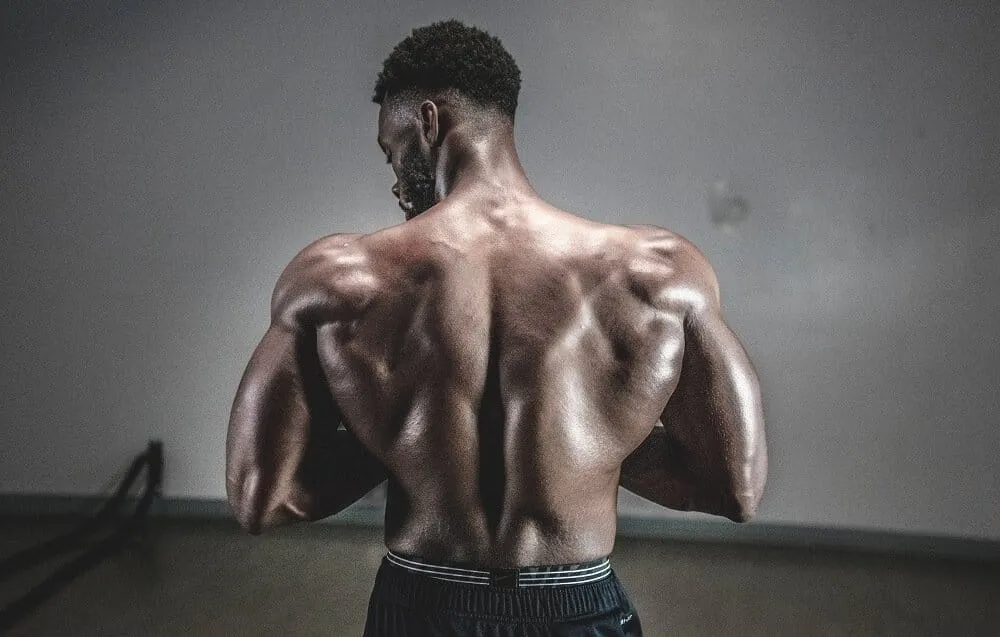 Trenbolone 2